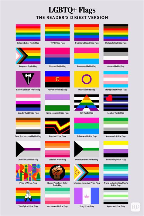 hypersexual flag|Every LGBTQ Pride flag and what they all mean